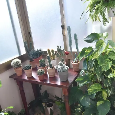 فندق مبيت وإفطار Il Girasole مونديلّو